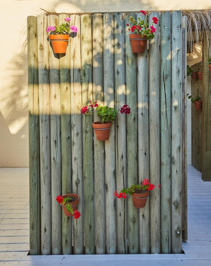 Posada Tamarindo Jose Ignacio  Bagian luar foto